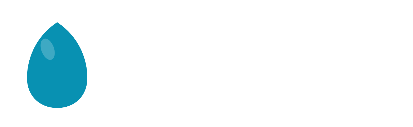 embibe